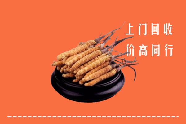 高价求购：永善县回收散虫草
